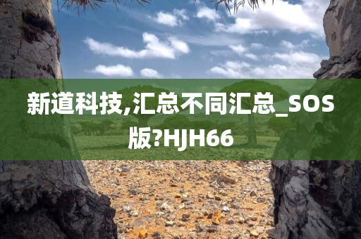 新道科技,汇总不同汇总_SOS版?HJH66