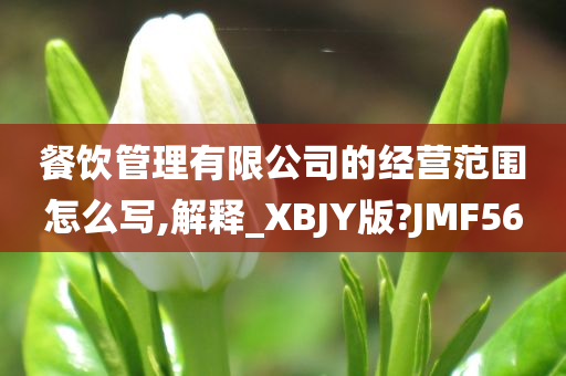 餐饮管理有限公司的经营范围怎么写,解释_XBJY版?JMF56