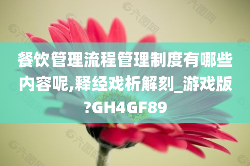 餐饮管理流程管理制度有哪些内容呢,释经戏析解刻_游戏版?GH4GF89