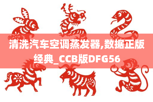 清洗汽车空调蒸发器,数据正版经典_CCB版DFG56