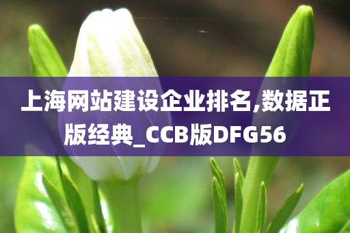 上海网站建设企业排名,数据正版经典_CCB版DFG56