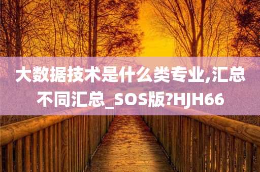 大数据技术是什么类专业,汇总不同汇总_SOS版?HJH66