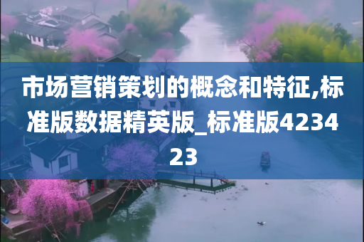 市场营销策划的概念和特征,标准版数据精英版_标准版423423