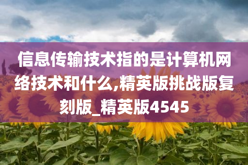 信息传输技术指的是计算机网络技术和什么,精英版挑战版复刻版_精英版4545