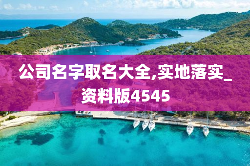 公司名字取名大全,实地落实_资料版4545