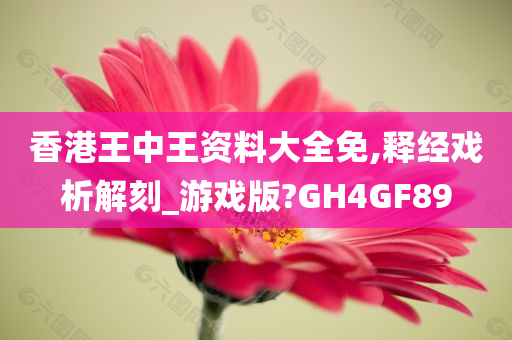 香港王中王资料大全免,释经戏析解刻_游戏版?GH4GF89