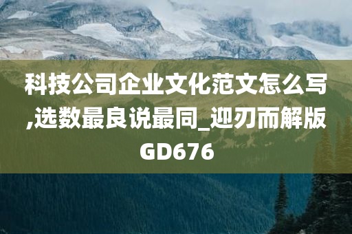 科技公司企业文化范文怎么写,选数最良说最同_迎刃而解版GD676