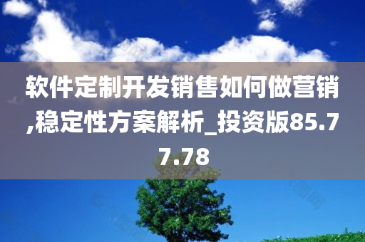 软件定制开发销售如何做营销,稳定性方案解析_投资版85.77.78