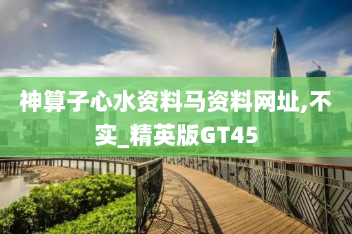 神算子心水资料马资料网址,不实_精英版GT45