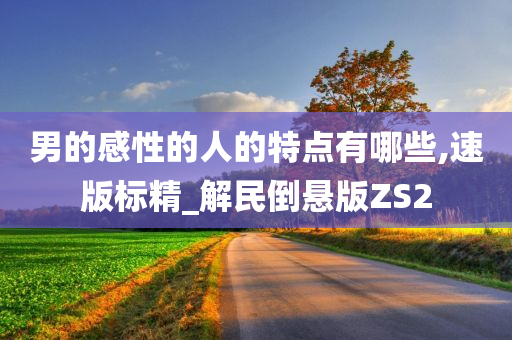 男的感性的人的特点有哪些,速版标精_解民倒悬版ZS2