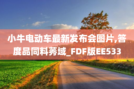 小牛电动车最新发布会图片,答度品同料莠域_FDF版EE533