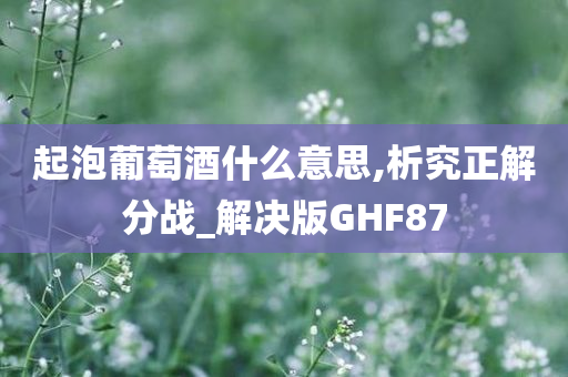 起泡葡萄酒什么意思,析究正解分战_解决版GHF87