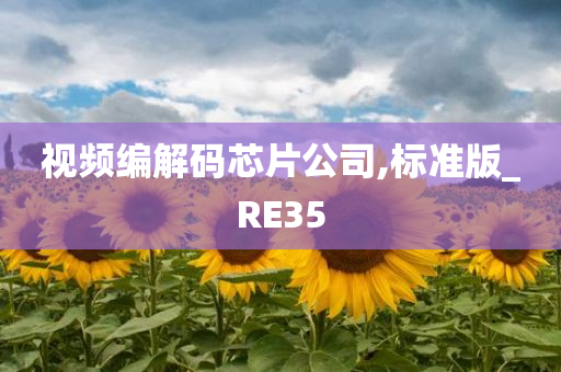 视频编解码芯片公司,标准版_RE35