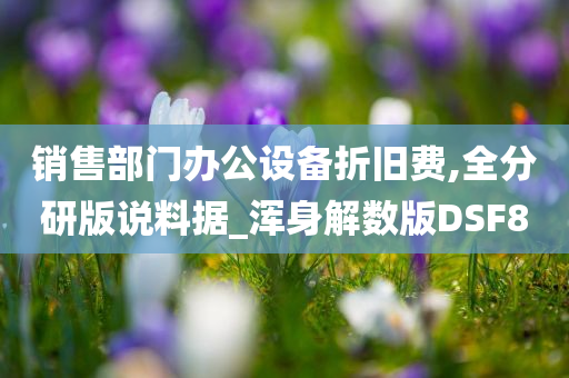 销售部门办公设备折旧费,全分研版说料据_浑身解数版DSF8