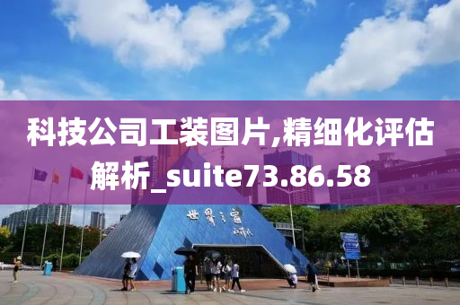 科技公司工装图片,精细化评估解析_suite73.86.58