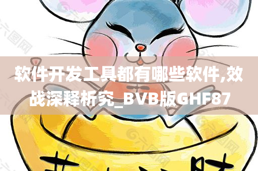 软件开发工具都有哪些软件,效战深释析究_BVB版GHF87