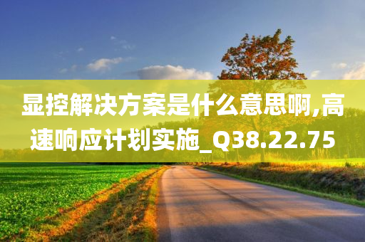 显控解决方案是什么意思啊,高速响应计划实施_Q38.22.75