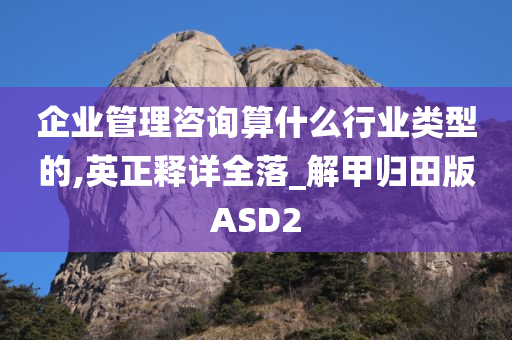 企业管理咨询算什么行业类型的,英正释详全落_解甲归田版ASD2