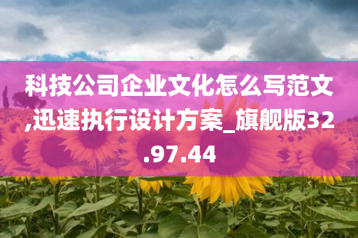 科技公司企业文化怎么写范文,迅速执行设计方案_旗舰版32.97.44