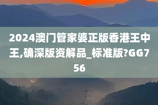 2024澳门管家婆正版香港王中王,确深版资解品_标准版?GG756