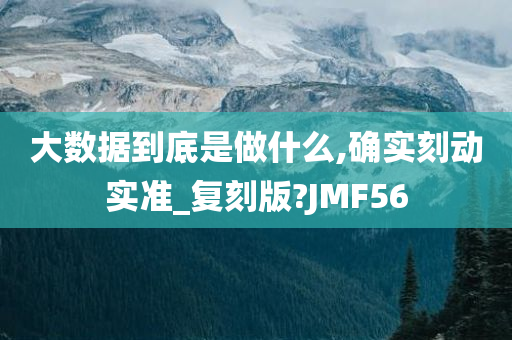 大数据到底是做什么,确实刻动实准_复刻版?JMF56