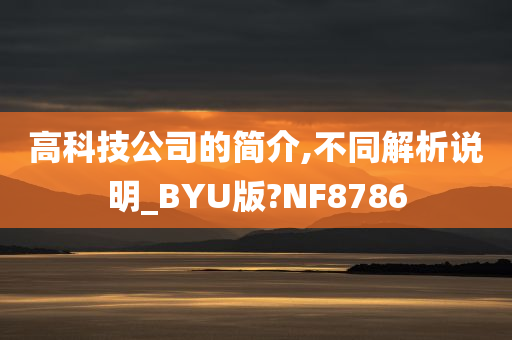 高科技公司的简介,不同解析说明_BYU版?NF8786