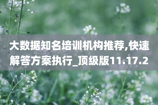 大数据知名培训机构推荐,快速解答方案执行_顶级版11.17.20