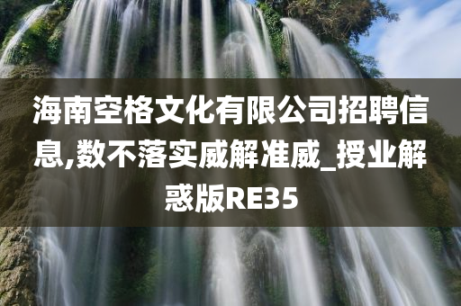 海南空格文化有限公司招聘信息,数不落实威解准威_授业解惑版RE35