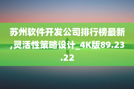 苏州软件开发公司排行榜最新,灵活性策略设计_4K版89.23.22