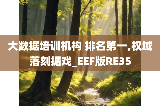 大数据培训机构 排名第一,权域落刻据戏_EEF版RE35