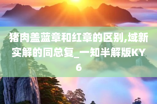 猪肉盖蓝章和红章的区别,域新实解的同总复_一知半解版KY6