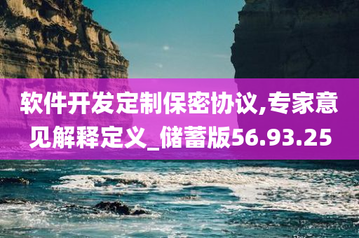 软件开发定制保密协议,专家意见解释定义_储蓄版56.93.25