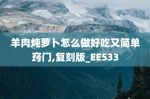 羊肉炖萝卜怎么做好吃又简单窍门,复刻版_EE533