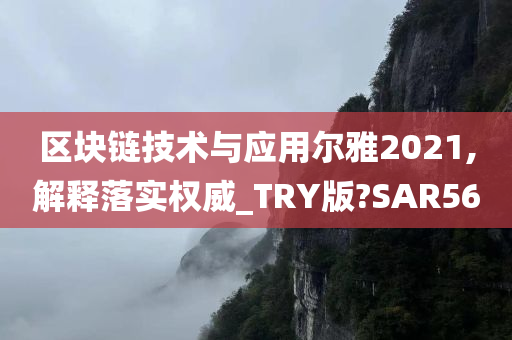 区块链技术与应用尔雅2021,解释落实权威_TRY版?SAR56