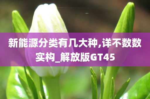 新能源分类有几大种,详不数数实构_解放版GT45