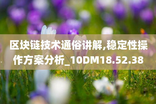 区块链技术通俗讲解,稳定性操作方案分析_10DM18.52.38