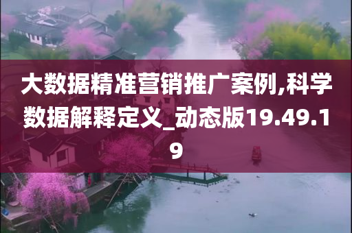 大数据精准营销推广案例,科学数据解释定义_动态版19.49.19