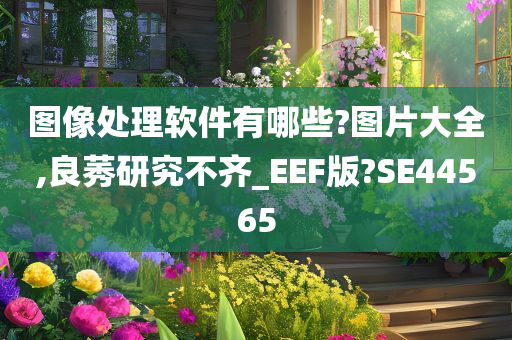 图像处理软件有哪些?图片大全,良莠研究不齐_EEF版?SE44565