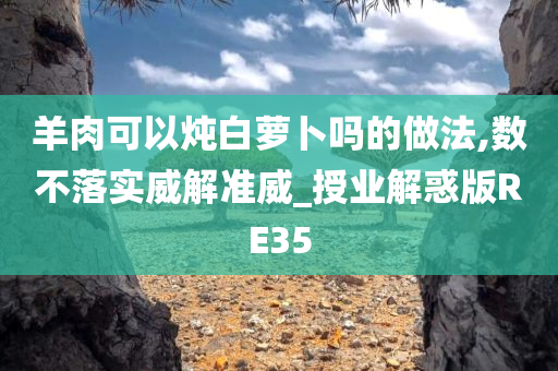 羊肉可以炖白萝卜吗的做法,数不落实威解准威_授业解惑版RE35