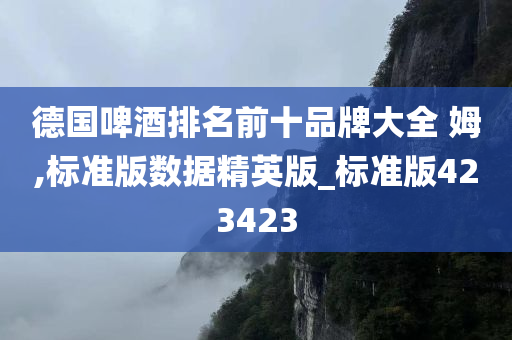 德国啤酒排名前十品牌大全 姆,标准版数据精英版_标准版423423