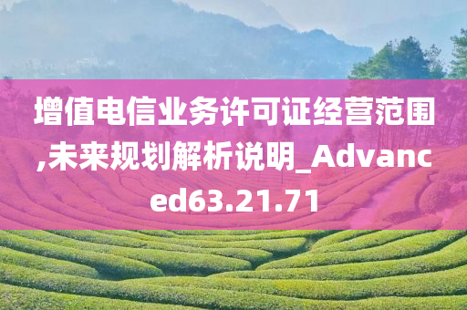 增值电信业务许可证经营范围,未来规划解析说明_Advanced63.21.71