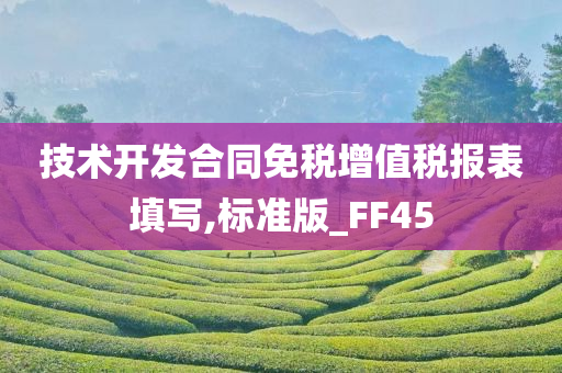 技术开发合同免税增值税报表填写,标准版_FF45