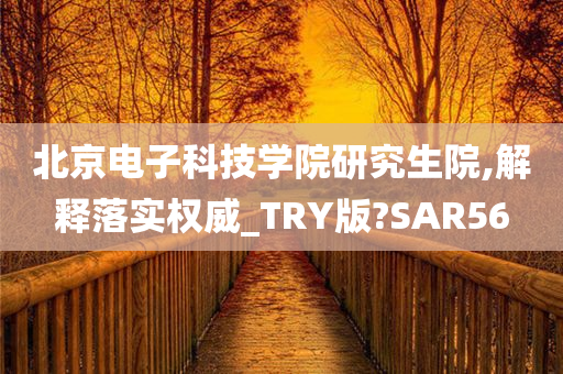 北京电子科技学院研究生院,解释落实权威_TRY版?SAR56