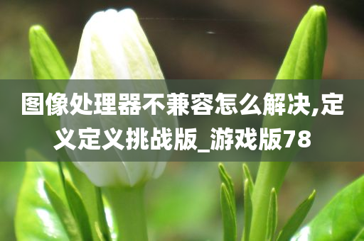 图像处理器不兼容怎么解决,定义定义挑战版_游戏版78