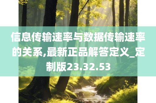 信息传输速率与数据传输速率的关系,最新正品解答定义_定制版23.32.53