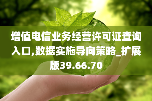 增值电信业务经营许可证查询入口,数据实施导向策略_扩展版39.66.70