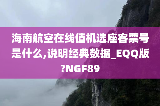 海南航空在线值机选座客票号是什么,说明经典数据_EQQ版?NGF89