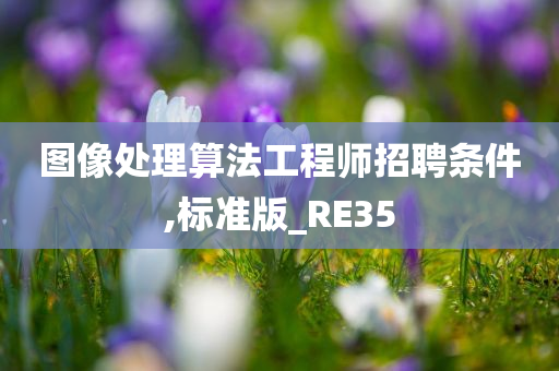 图像处理算法工程师招聘条件,标准版_RE35