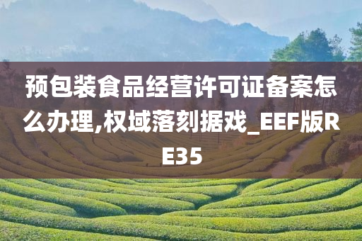 预包装食品经营许可证备案怎么办理,权域落刻据戏_EEF版RE35