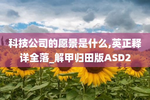 科技公司的愿景是什么,英正释详全落_解甲归田版ASD2